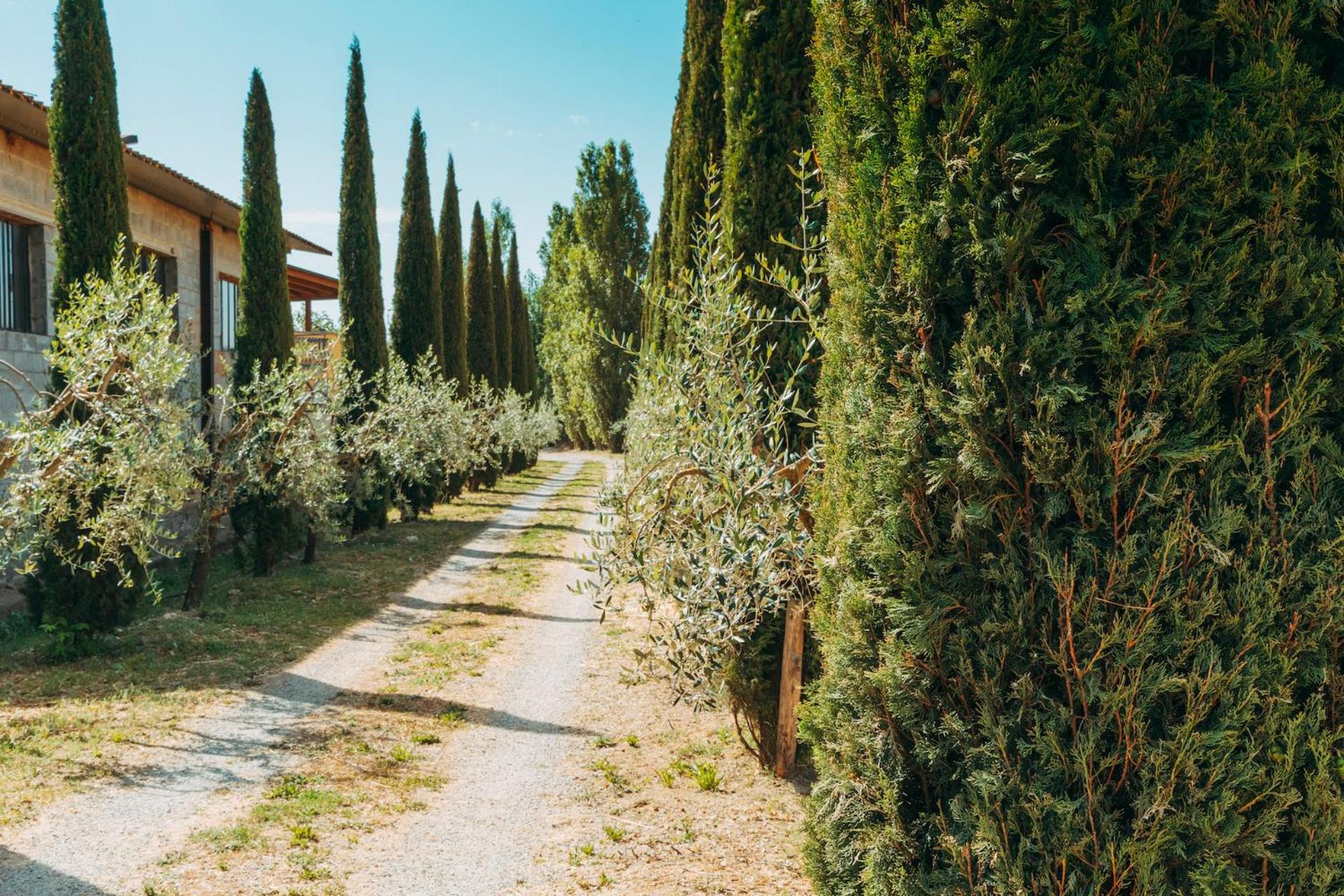 Agriturismo Il Borgo Кортона Экстерьер фото