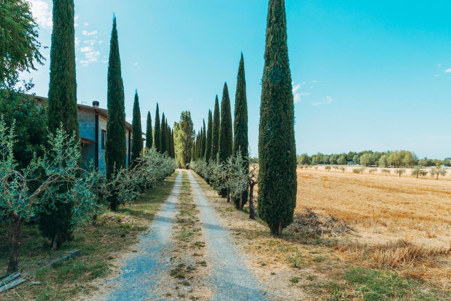 Agriturismo Il Borgo Кортона Экстерьер фото