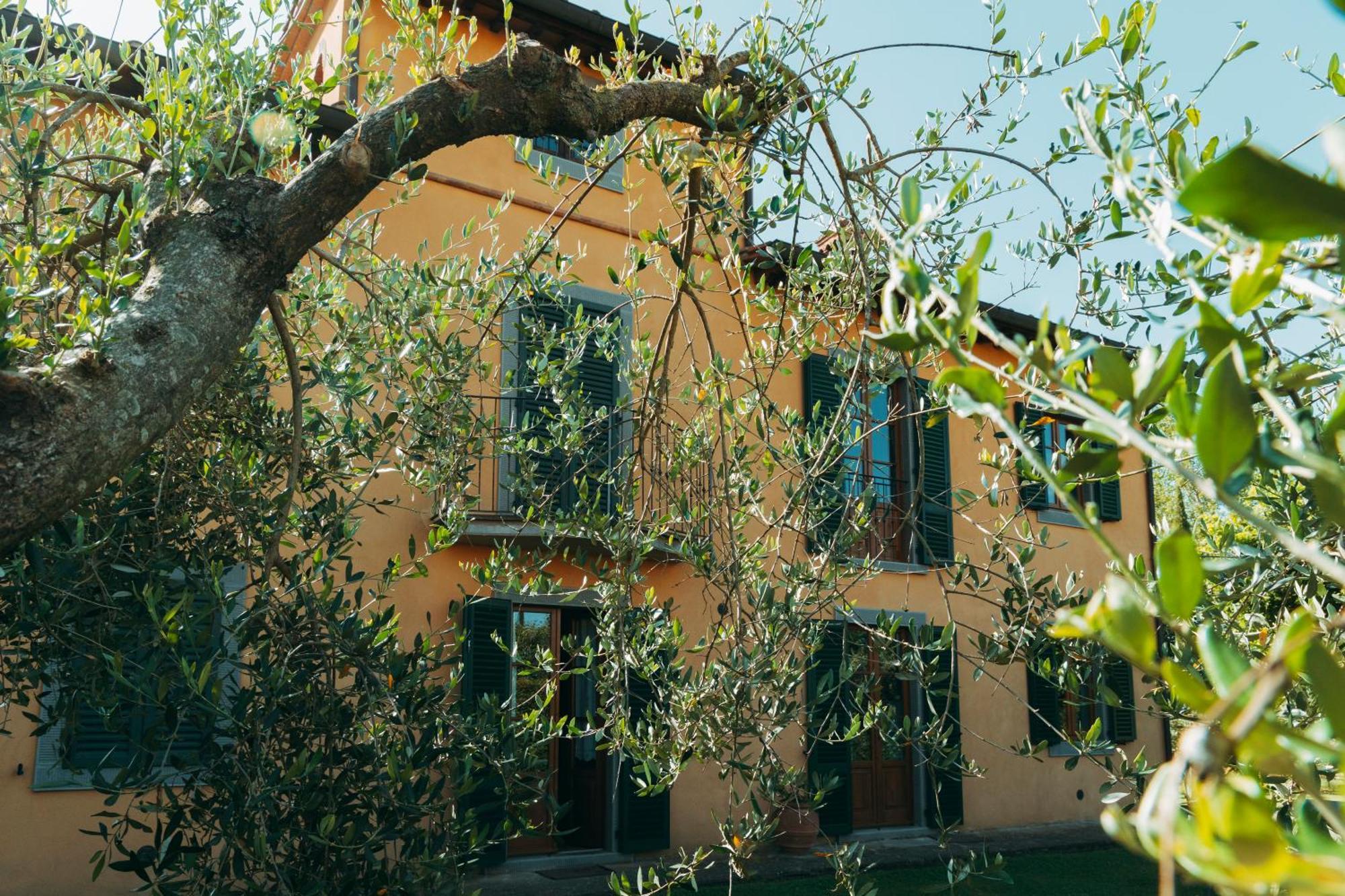 Agriturismo Il Borgo Кортона Экстерьер фото